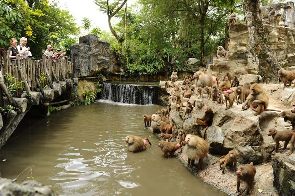 Vườn thú Singapore