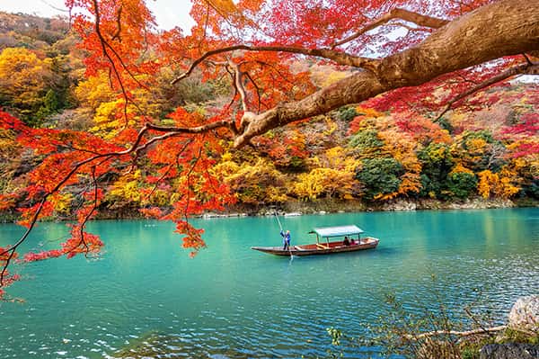 Top 12 điều bạn cần biết trước khi đi đến Kyoto, Nhật Bản
