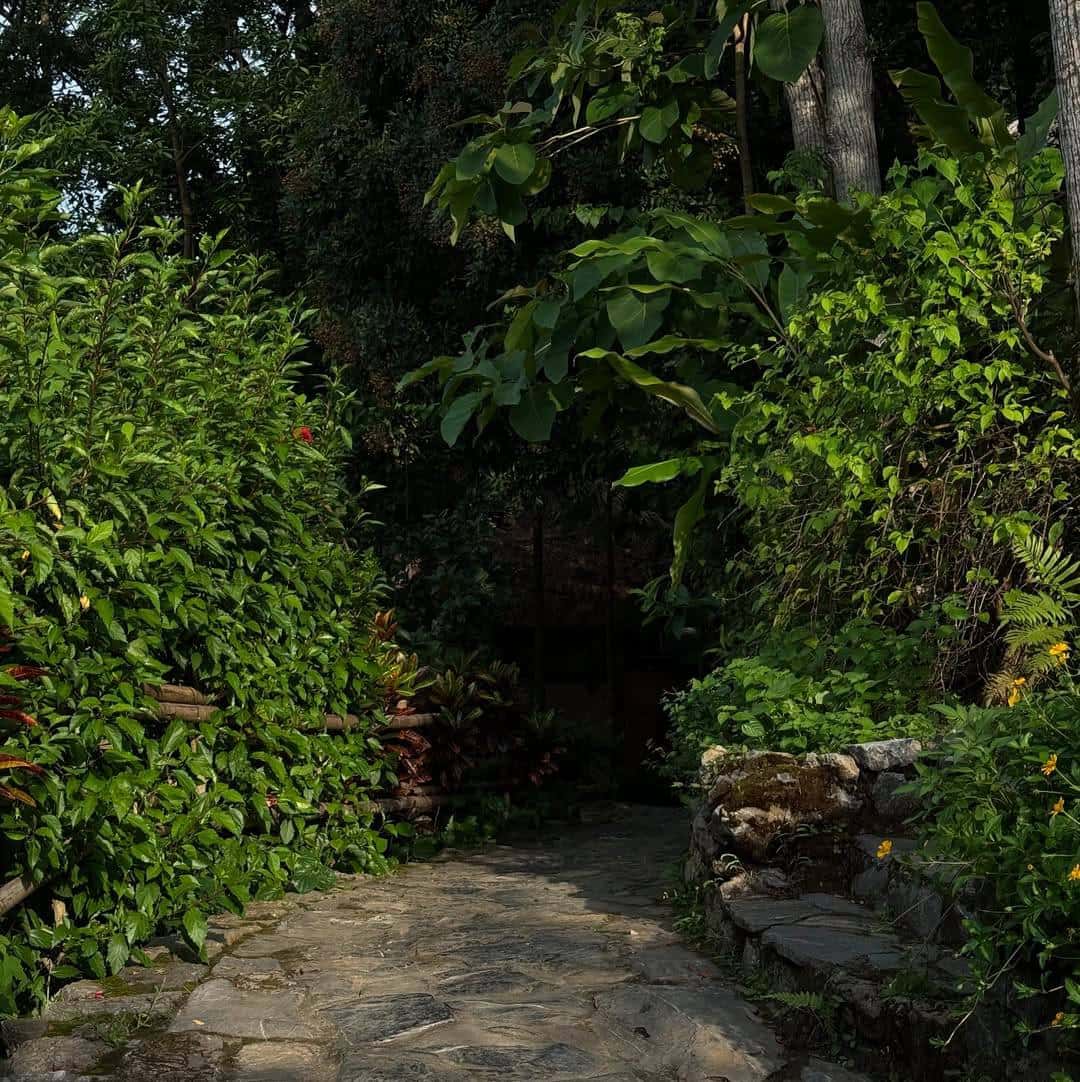 Nhà Mơ (Xoan Retreat) tại Đà Bắc, Hòa Bình — ảnh 27