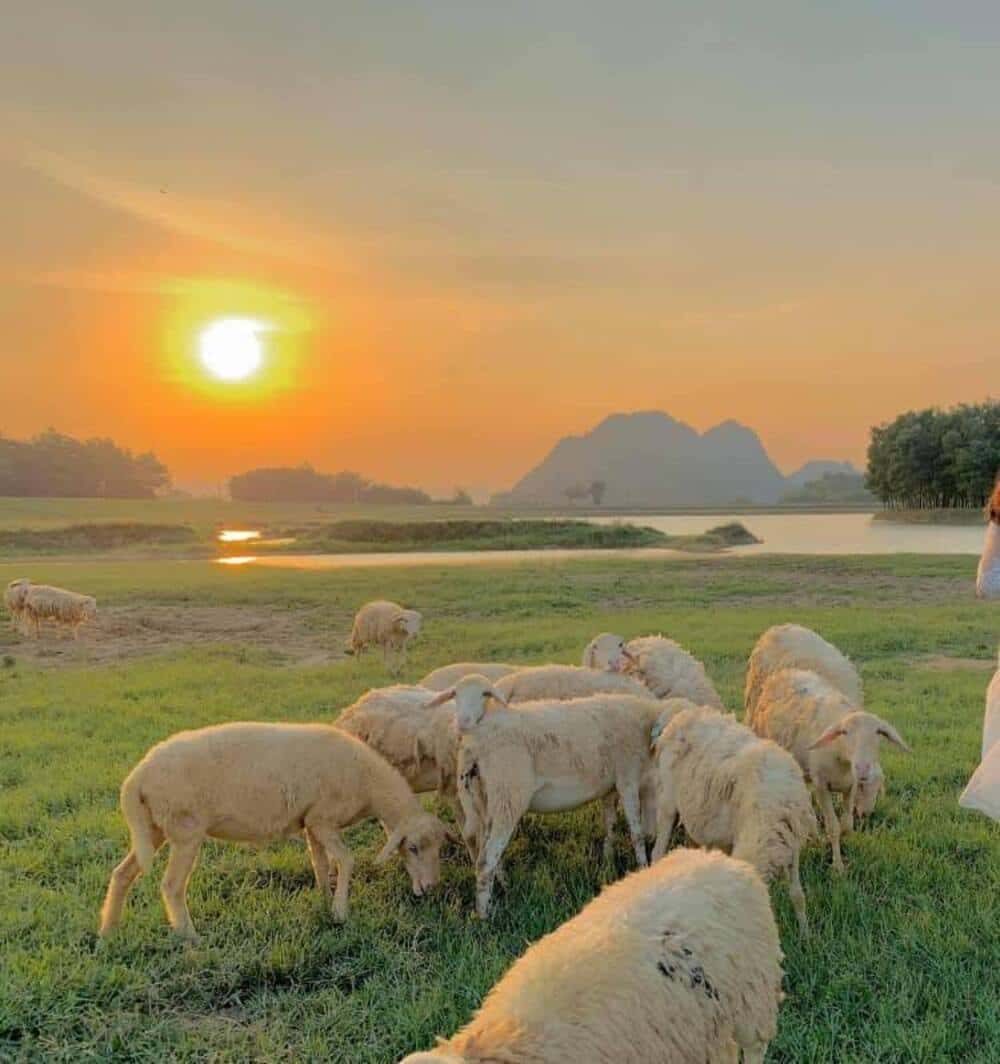 doi cuu dia diem du lich ninh binh attnib18