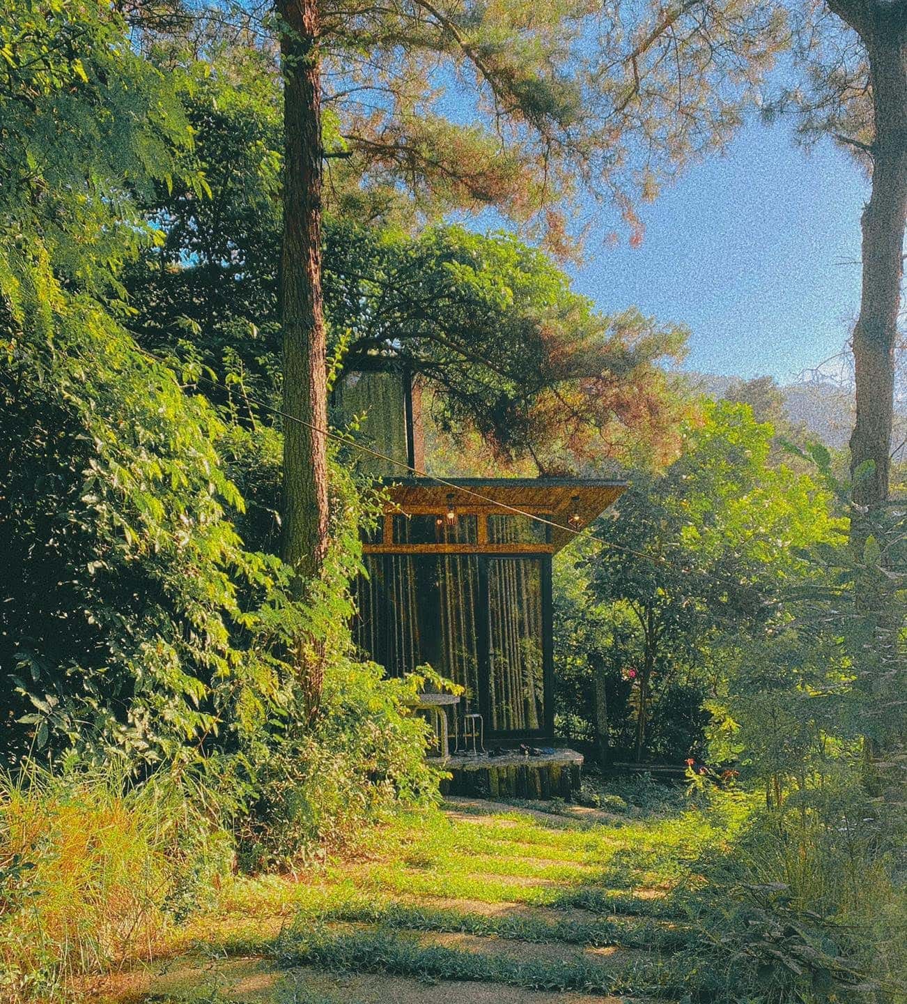 Nhà Cây Sung - Ánh Trăng, Sóc Sơn () — ảnh 8