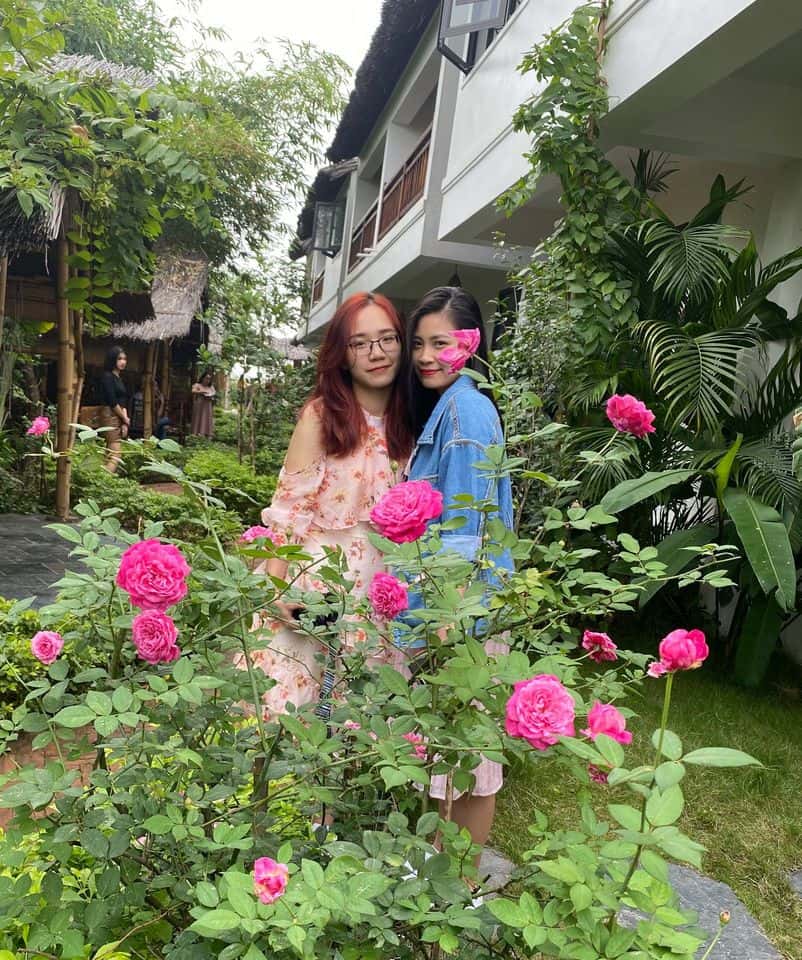 justfly nan house ninh binh