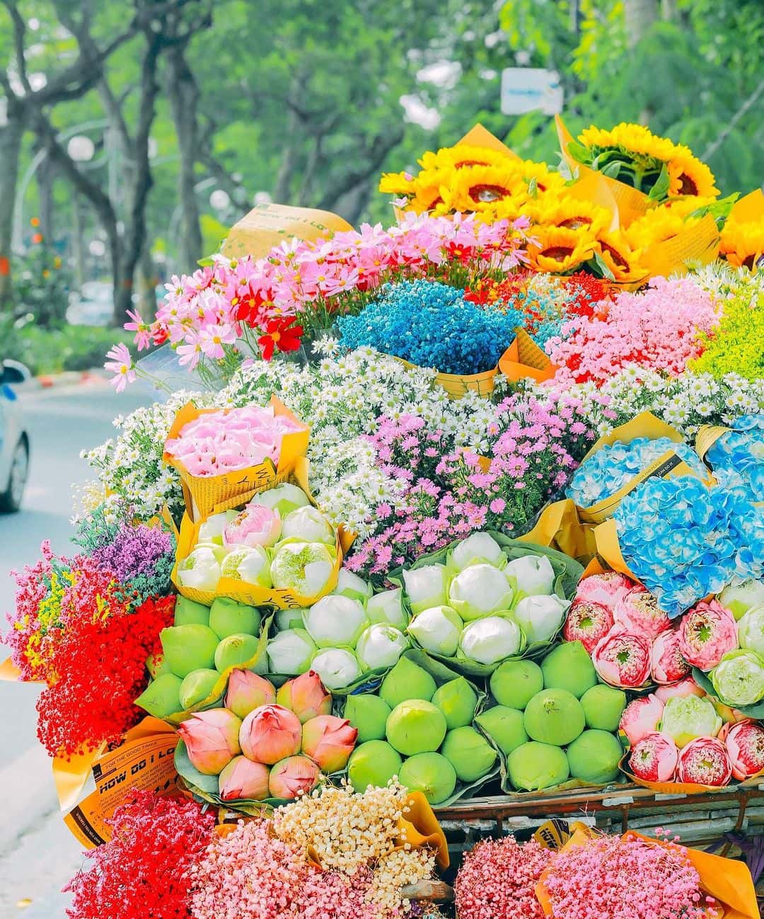 justfly ho tay hanoi
