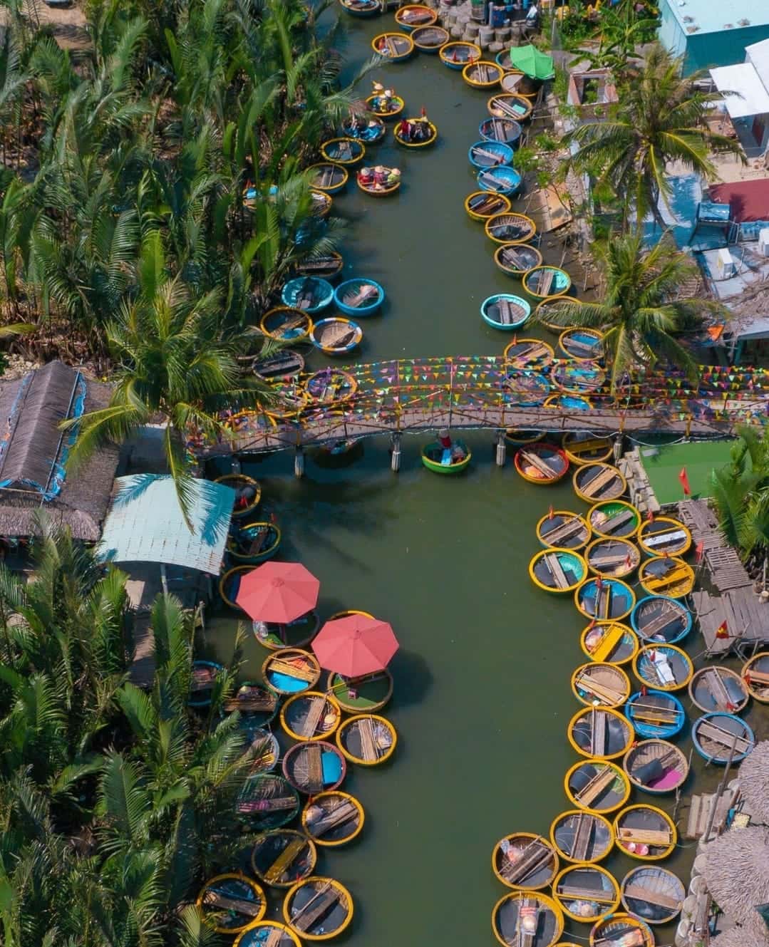rung dua bay mau hoi an