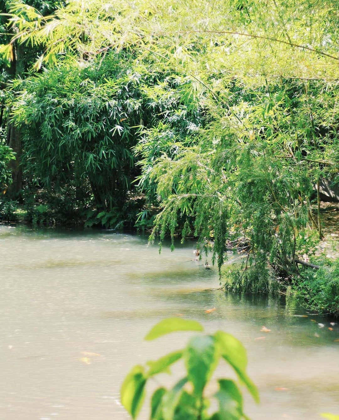 Sơn Trà Tịnh Viên, Đà Nẵng — photo 16