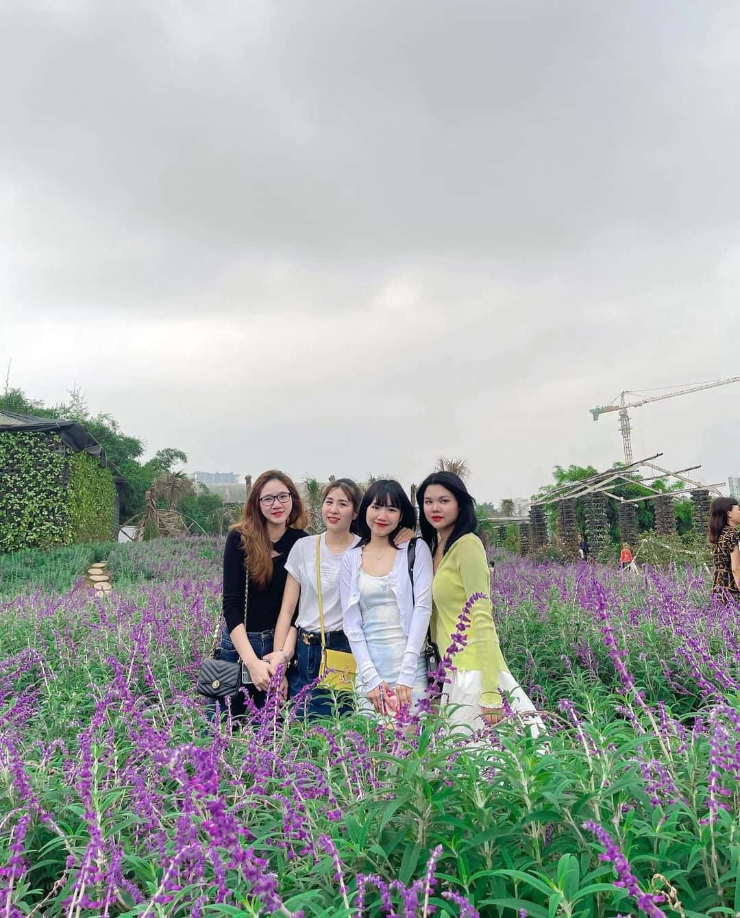 justfly thung lung hoa ho tay hanoi