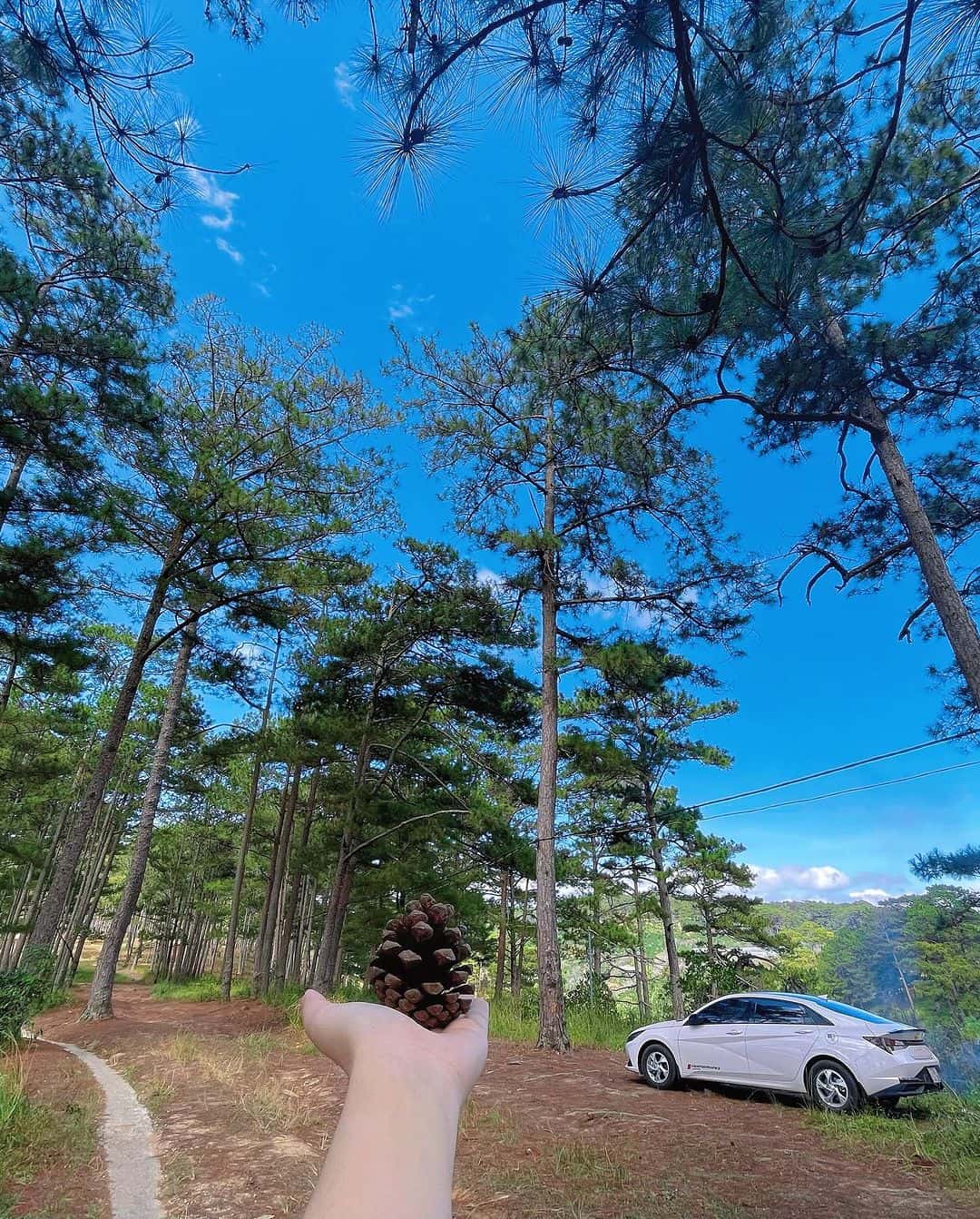 justfly doi che cau dat da lat