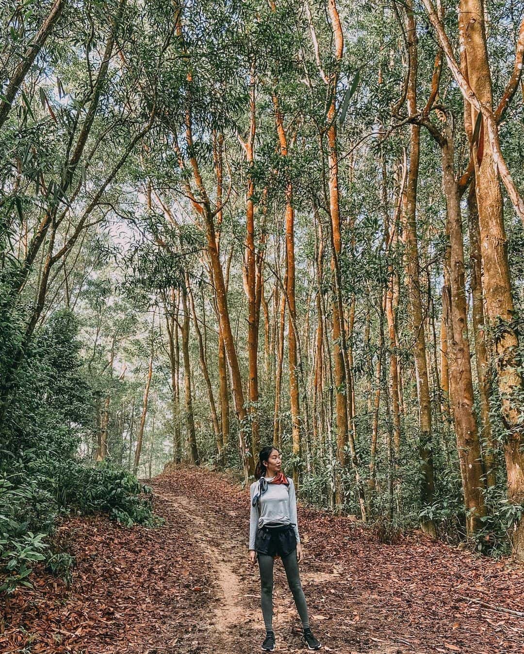 trekking nui dinh vung tau