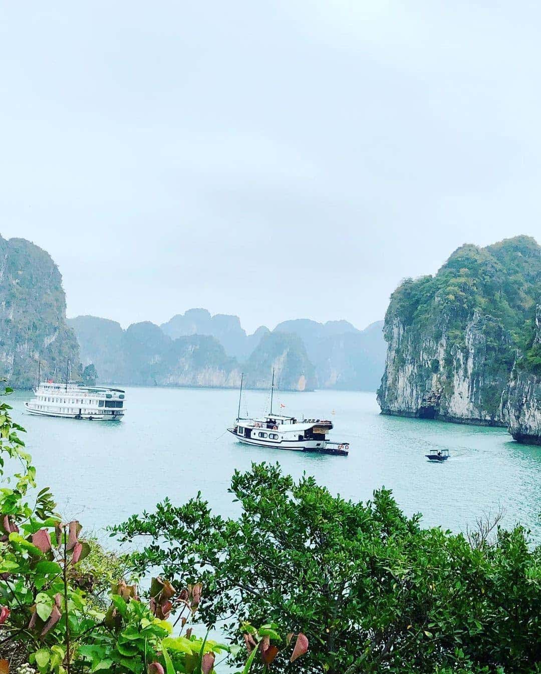 hang thien canh son dia diem du lich ha long attvdo20
