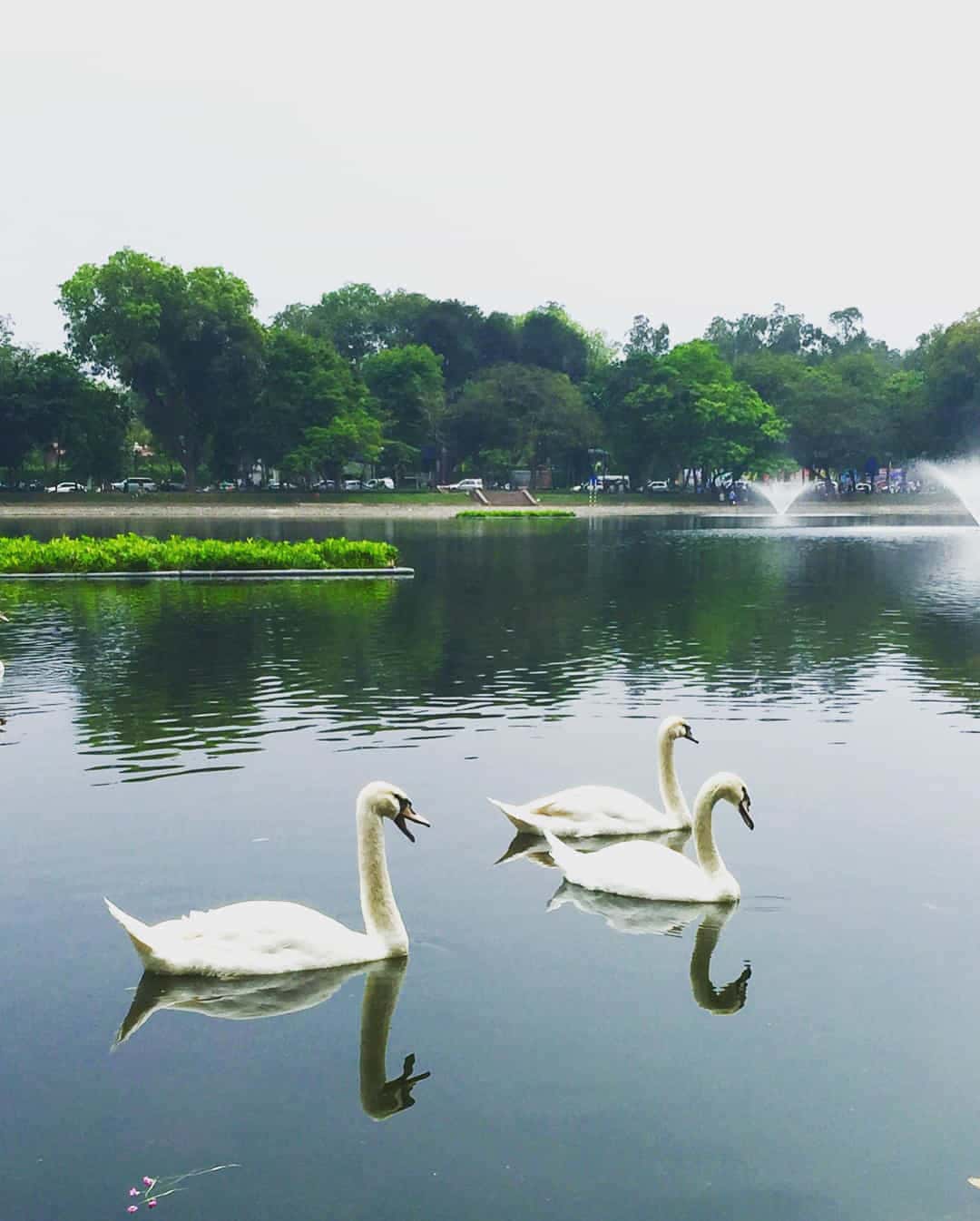 justfly ho thien quang hanoi