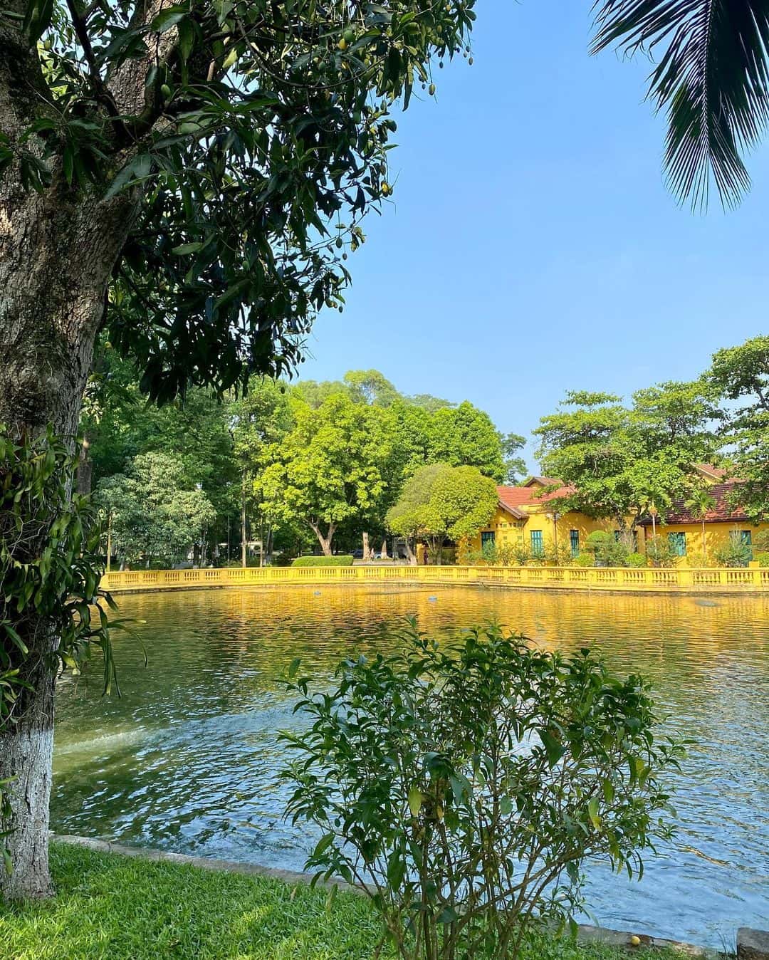 justfly nha san bac ho hanoi