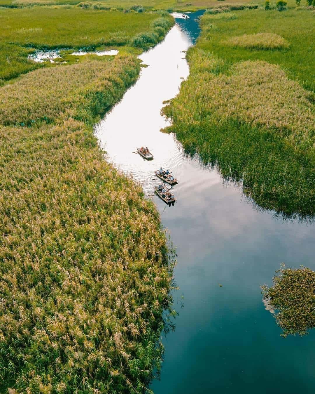 justfly tam coc rice fields homestay ninh binh