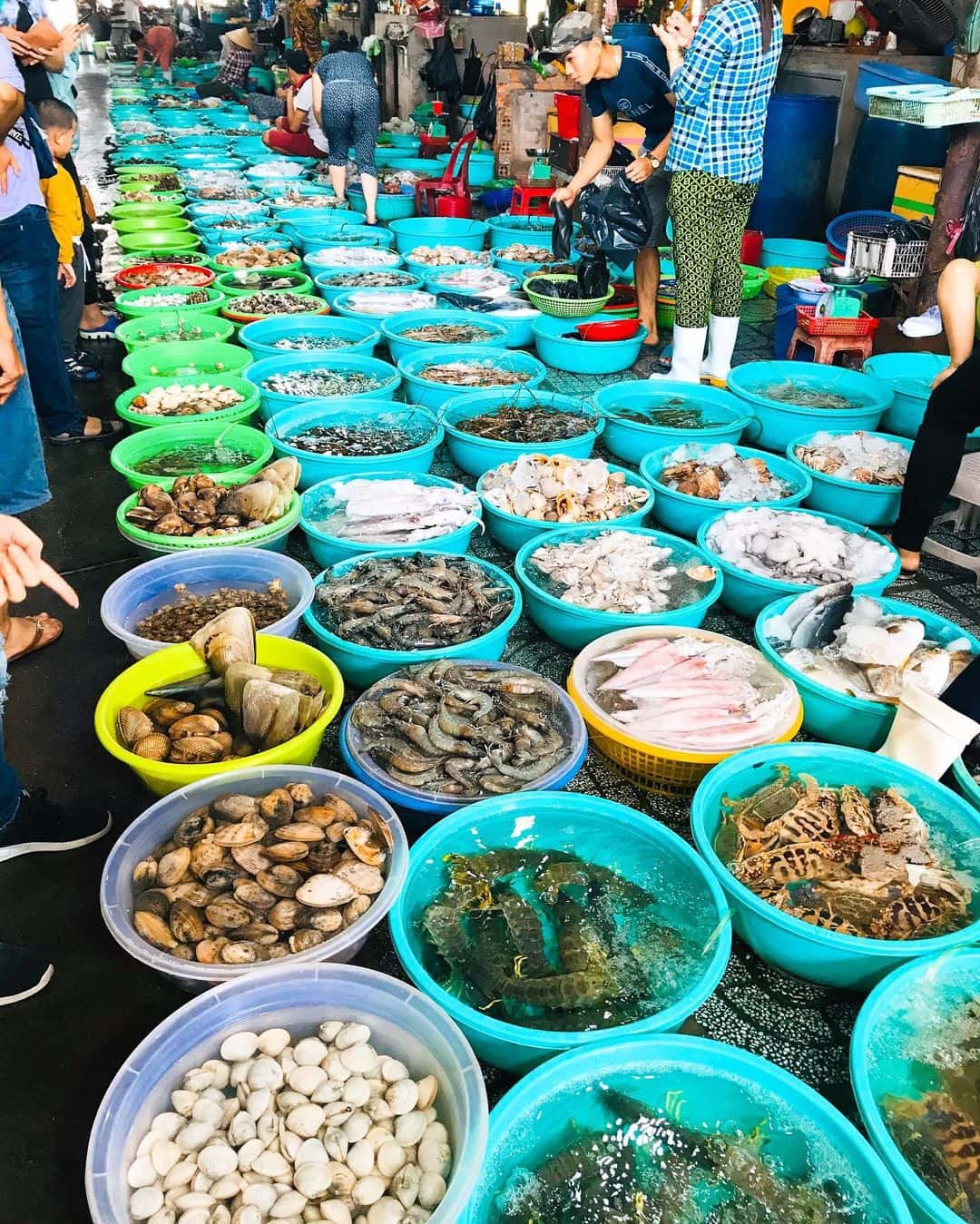 cho ben dinh dia diem du lich vung tau attvut63