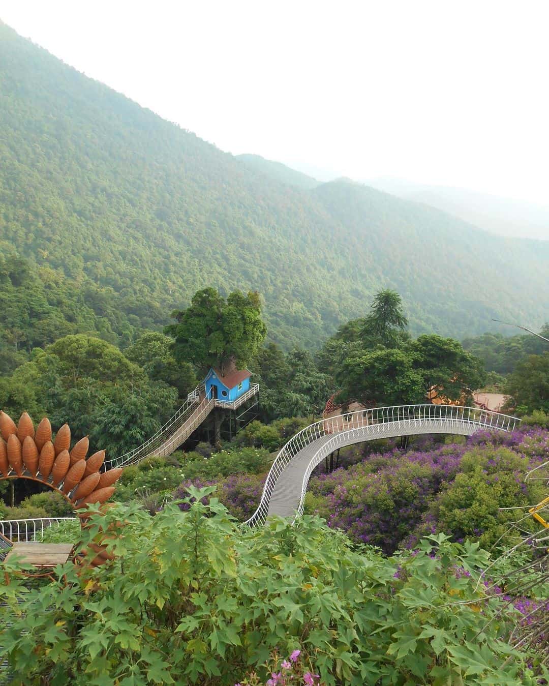 cau may tam dao vinh phuc