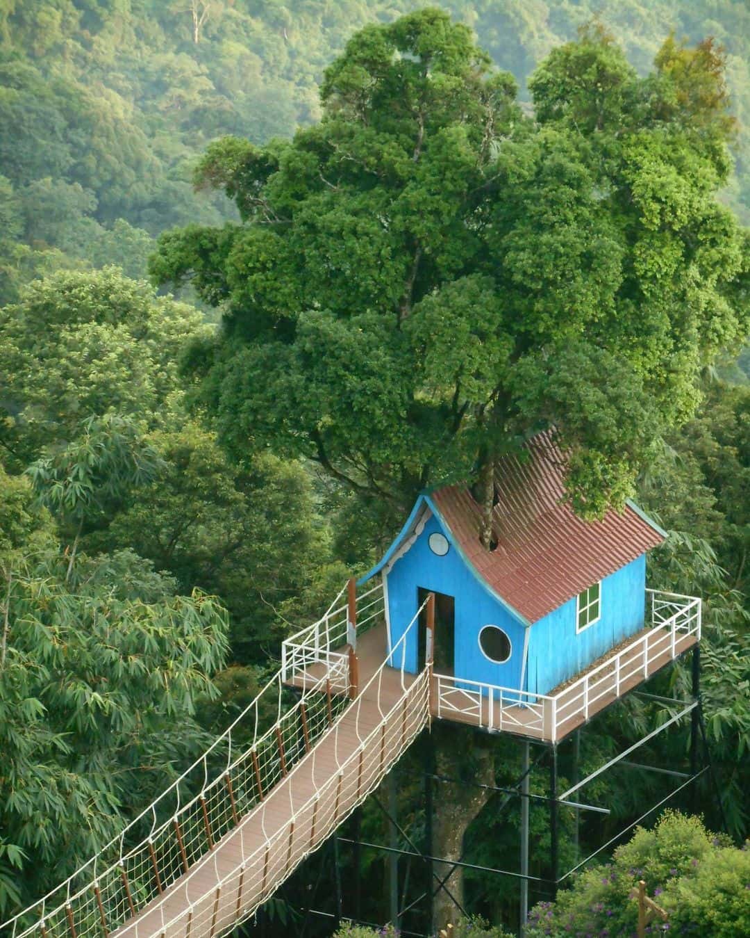 cau may tam dao vinh phuc