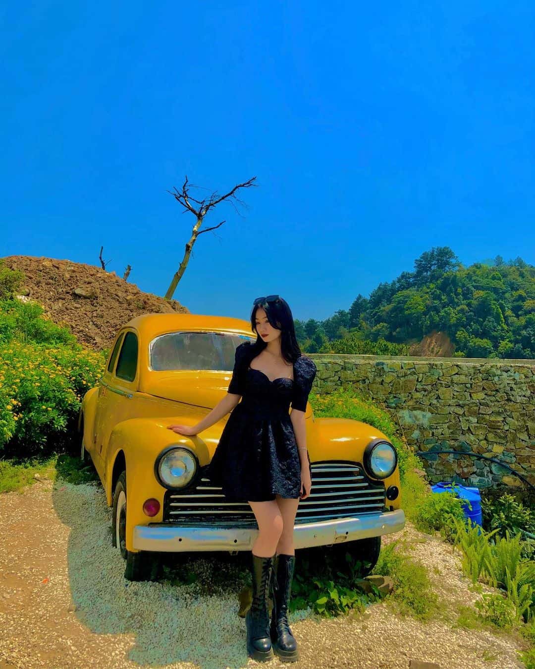lala land tam dao vinh phuc