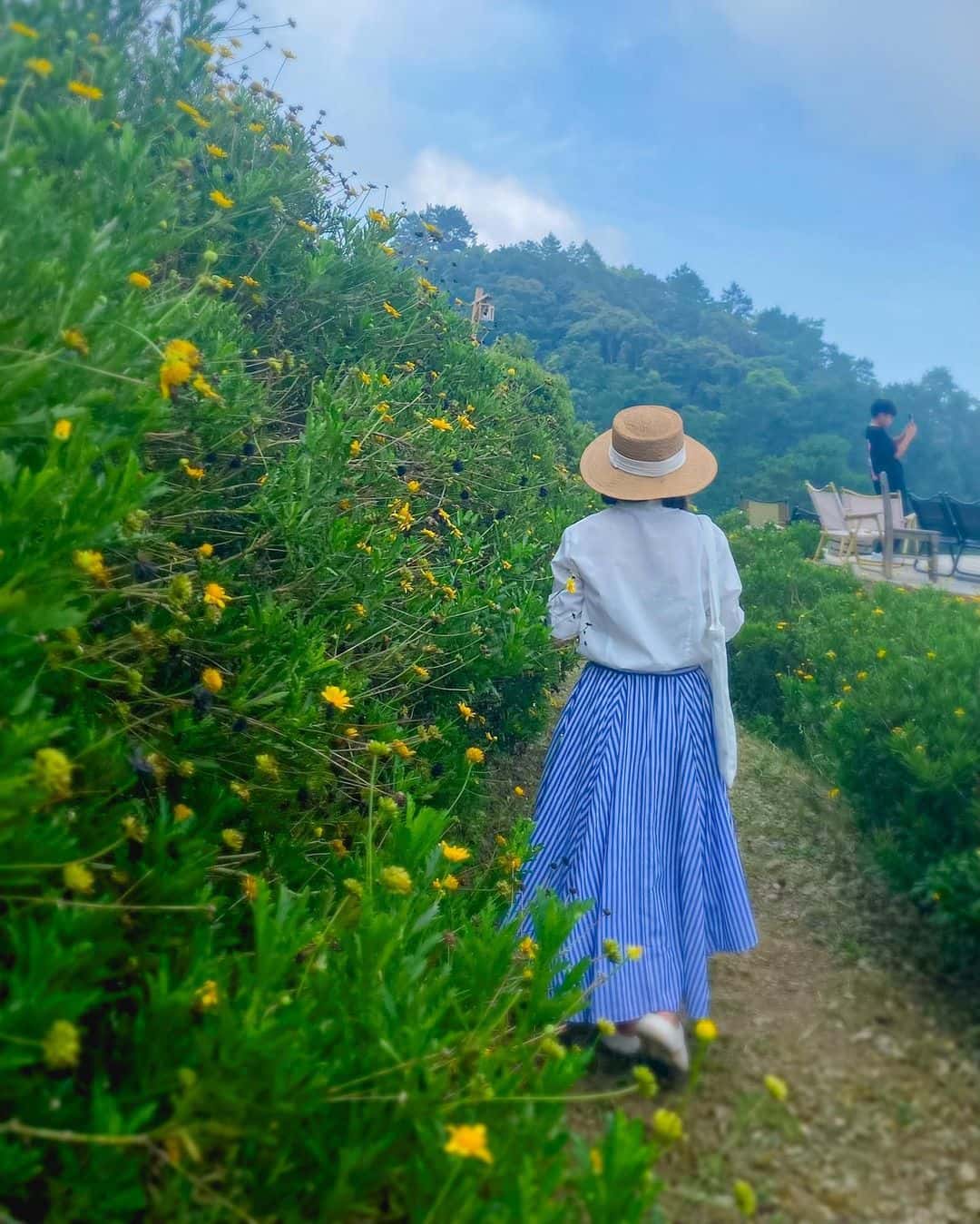 lala land tam dao vinh phuc