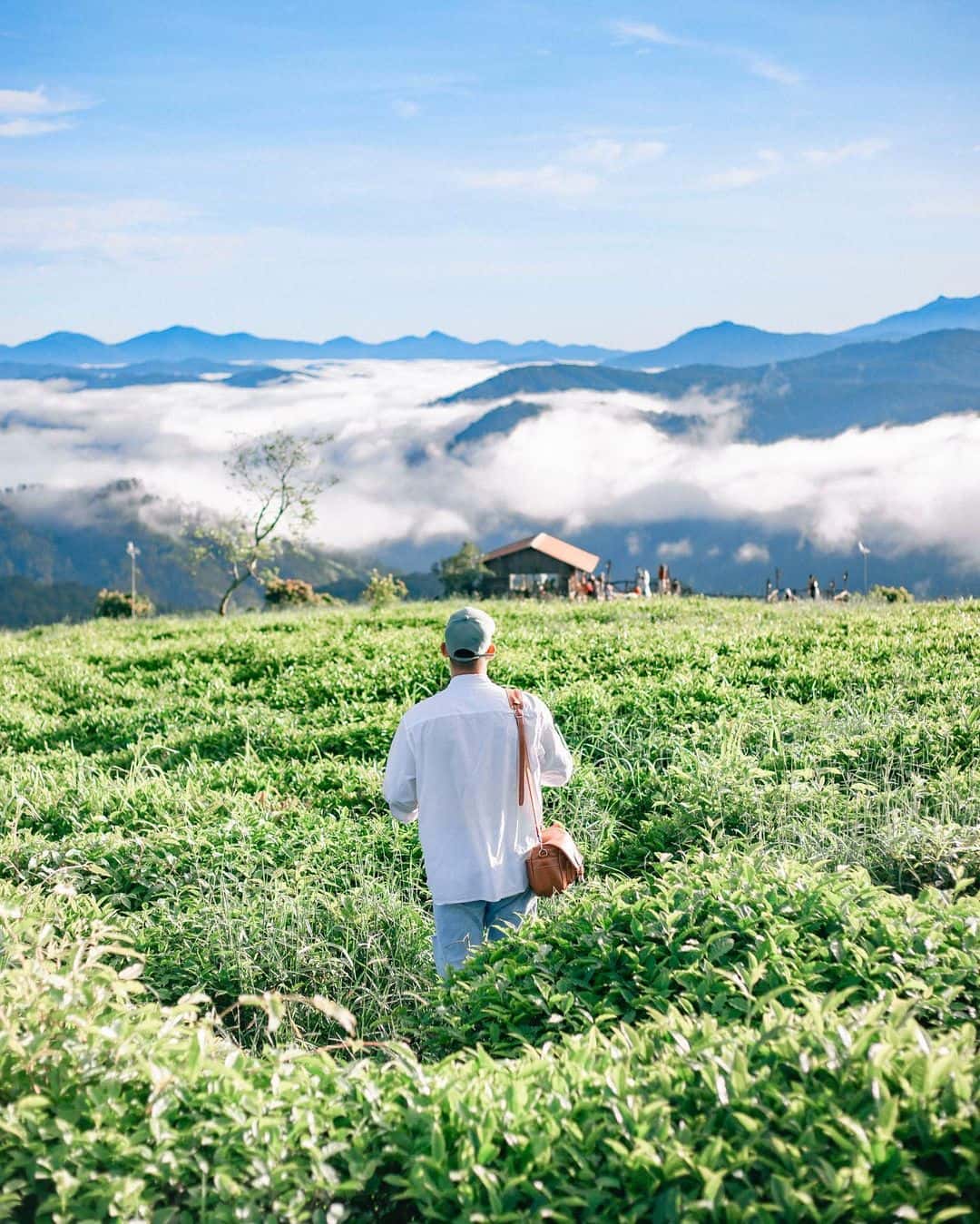 justfly doi che cau dat da lat