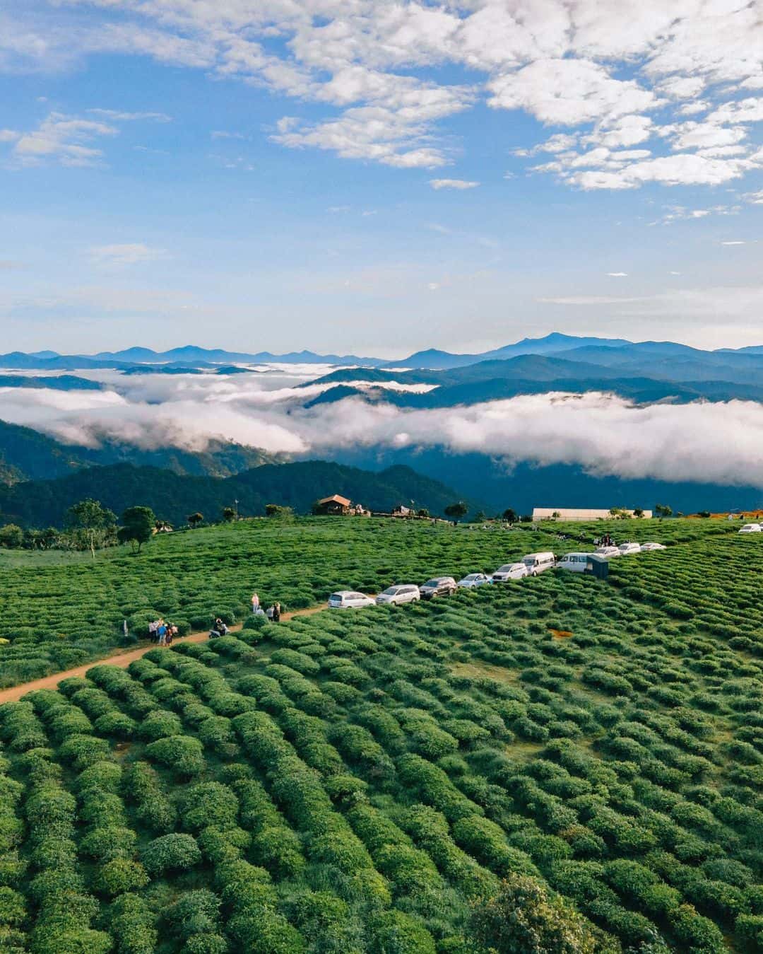 justfly doi che cau dat da lat