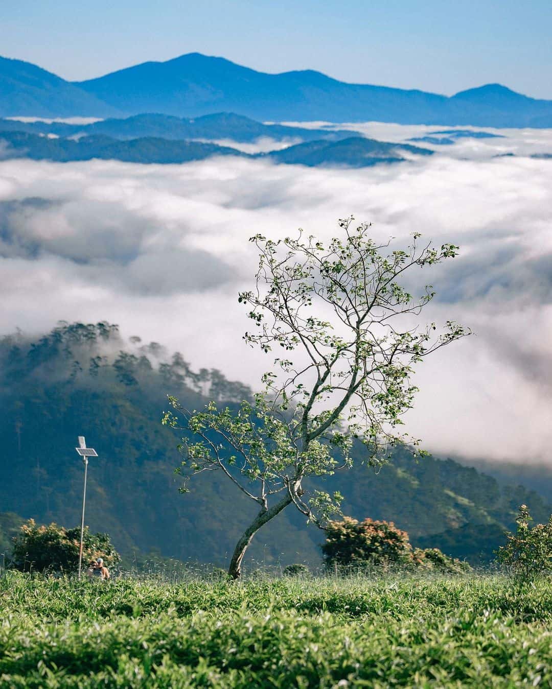 justfly doi che cau dat da lat