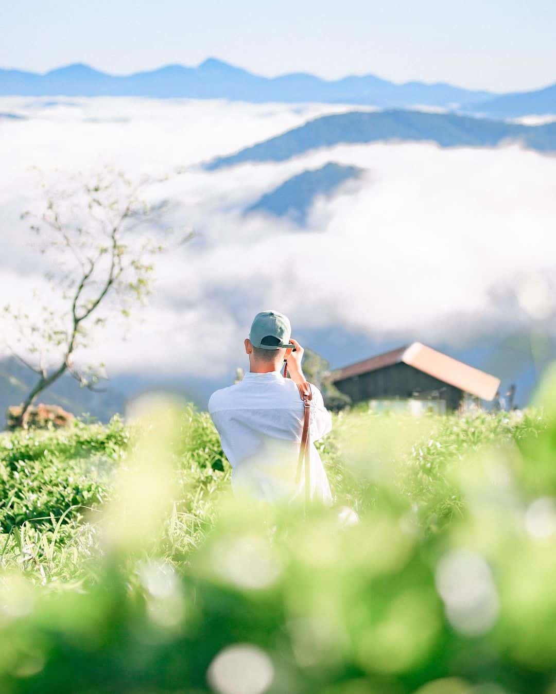 justfly doi che cau dat da lat