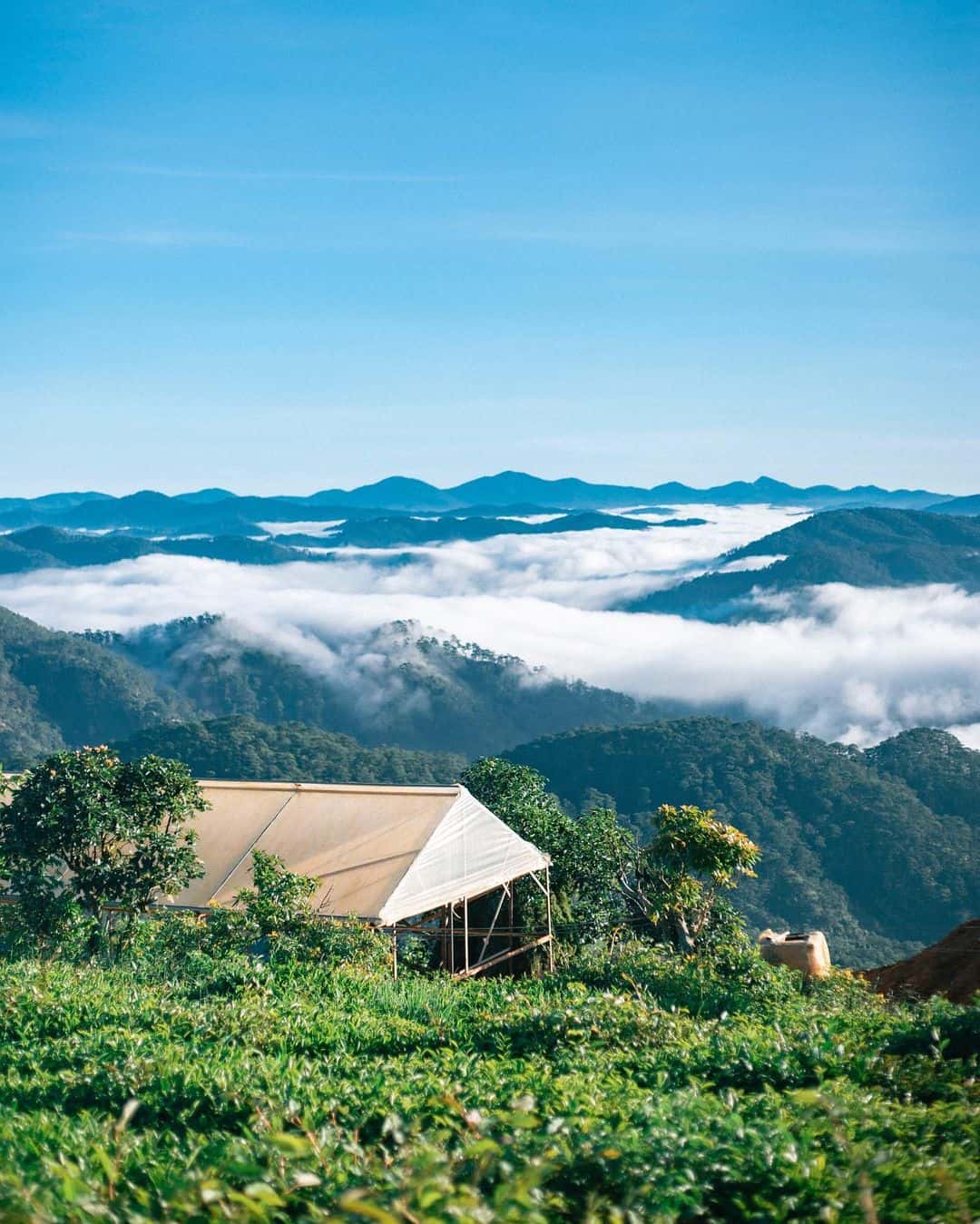 justfly doi che cau dat da lat