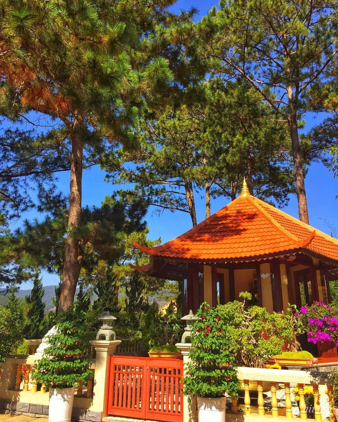 justfly thien vien truc lam da lat (1)
