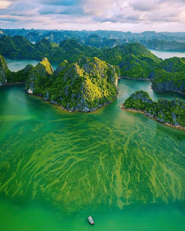 vinh lan ha dao cat ba
