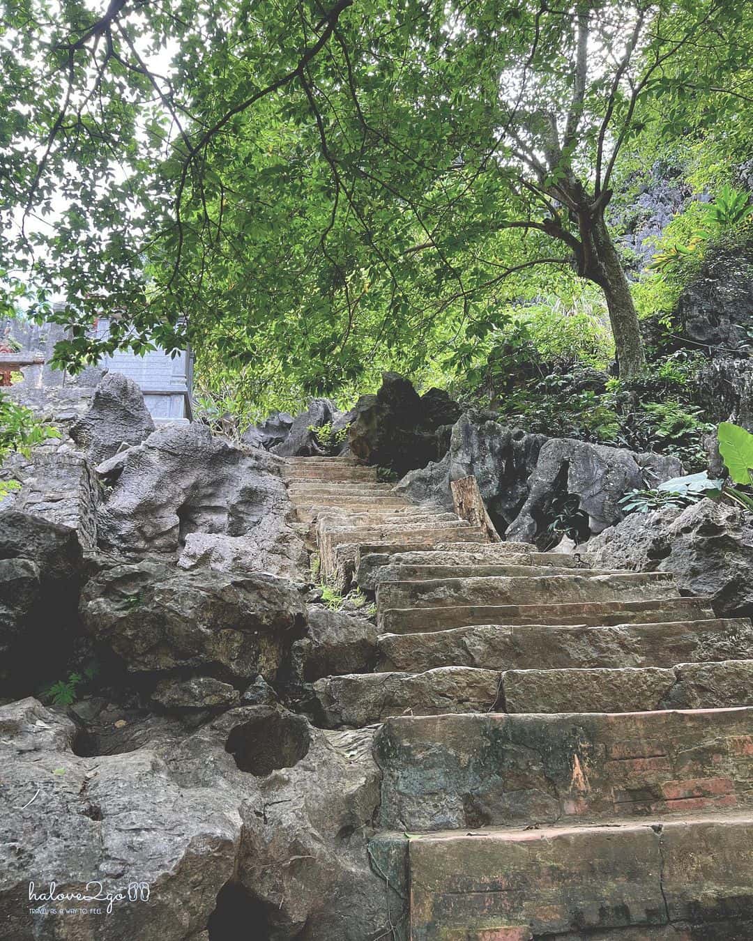 justfly chua bich dong ninh binh
