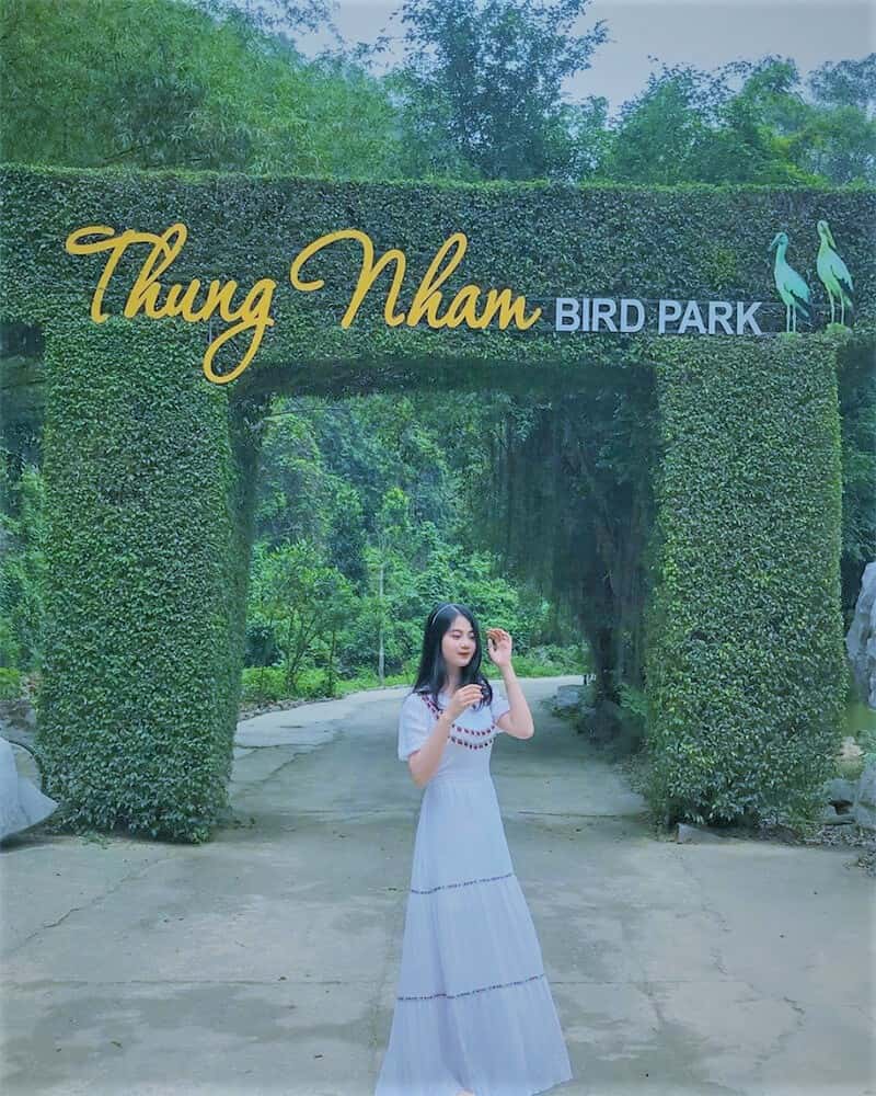 justfly thung nham bird park ninh binh
