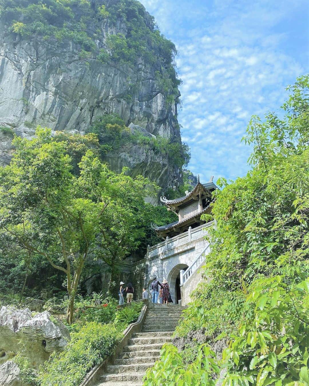 justfly tuyet tinh coc ninh binh