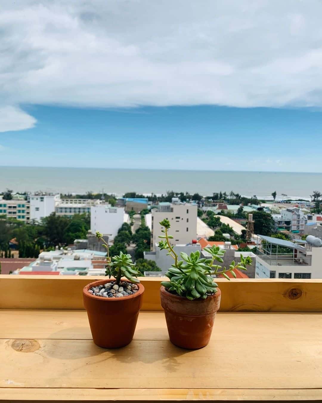 justfly bai sau vung tau