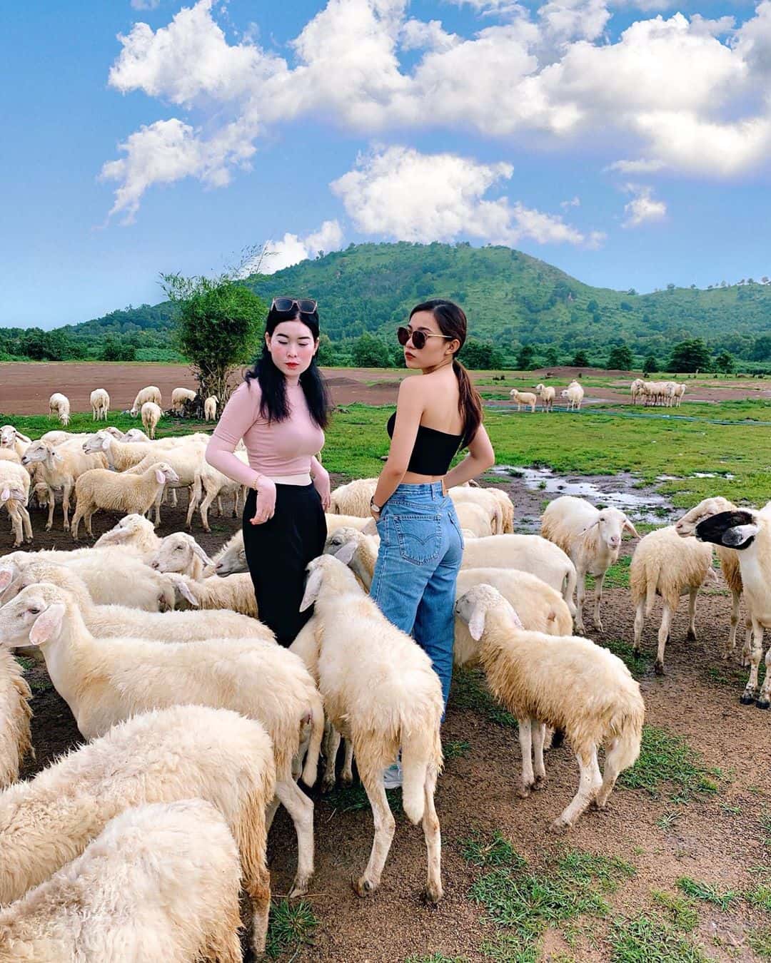 justfly dong cuu suoi nghe vung tau