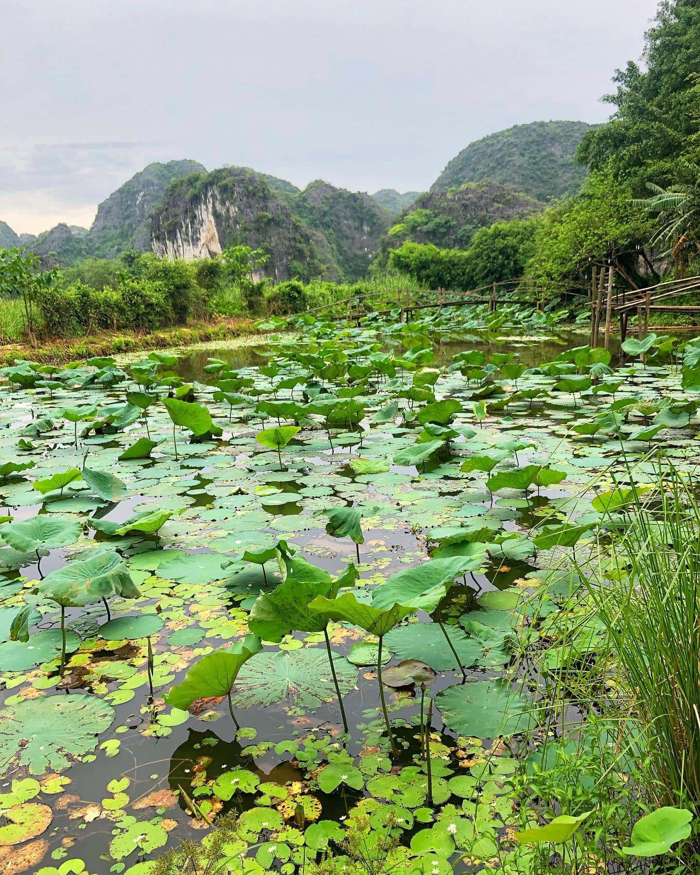 deluxe double tam coc nature lodge ninh binh