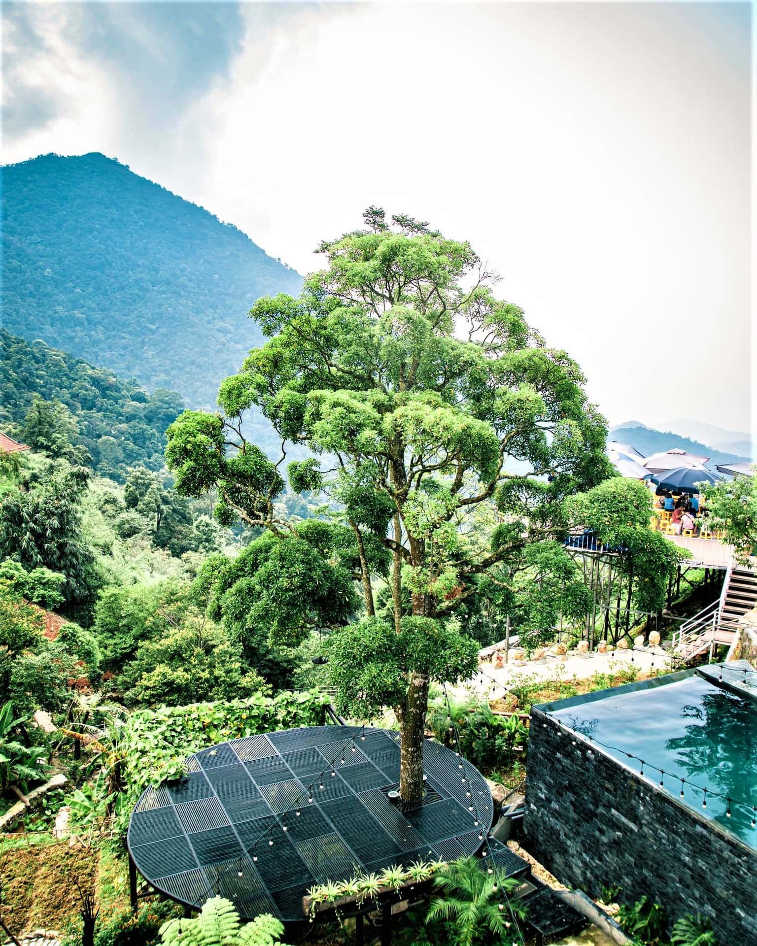 Sân vườn rộng 2000m2