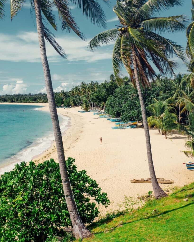bai dam trau dia diem du lich vung tau attvut23