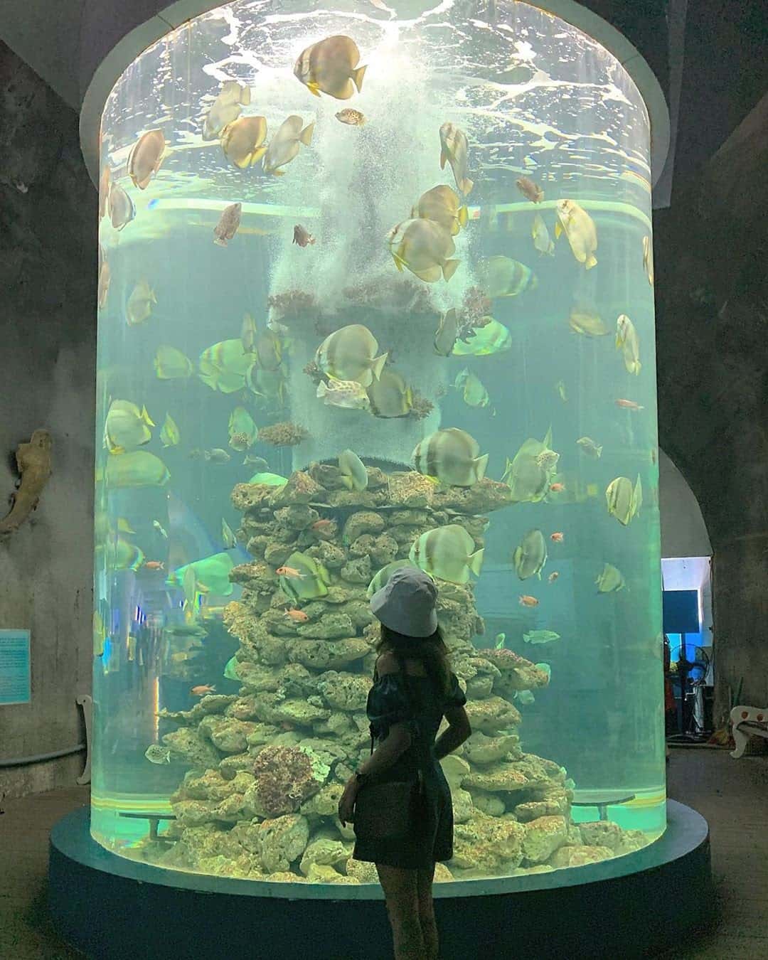 vien hai duong hoc nha trang dia diem du lich nha trang attcxr25