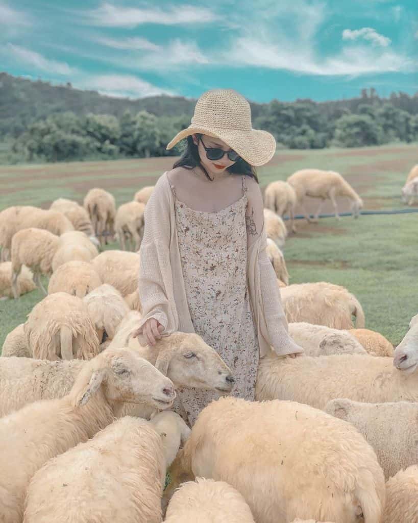 doi cuu suoi nghe dia diem du lich vung tau attvut26