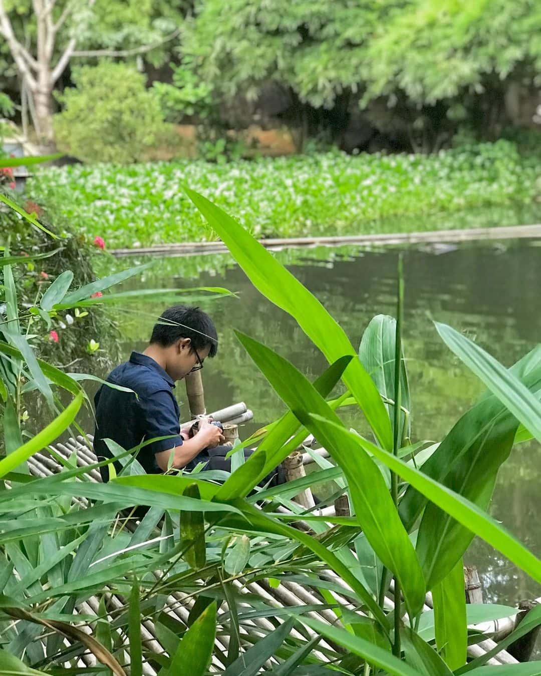 son tra tinh vien dia diem du lich da nang attdad40