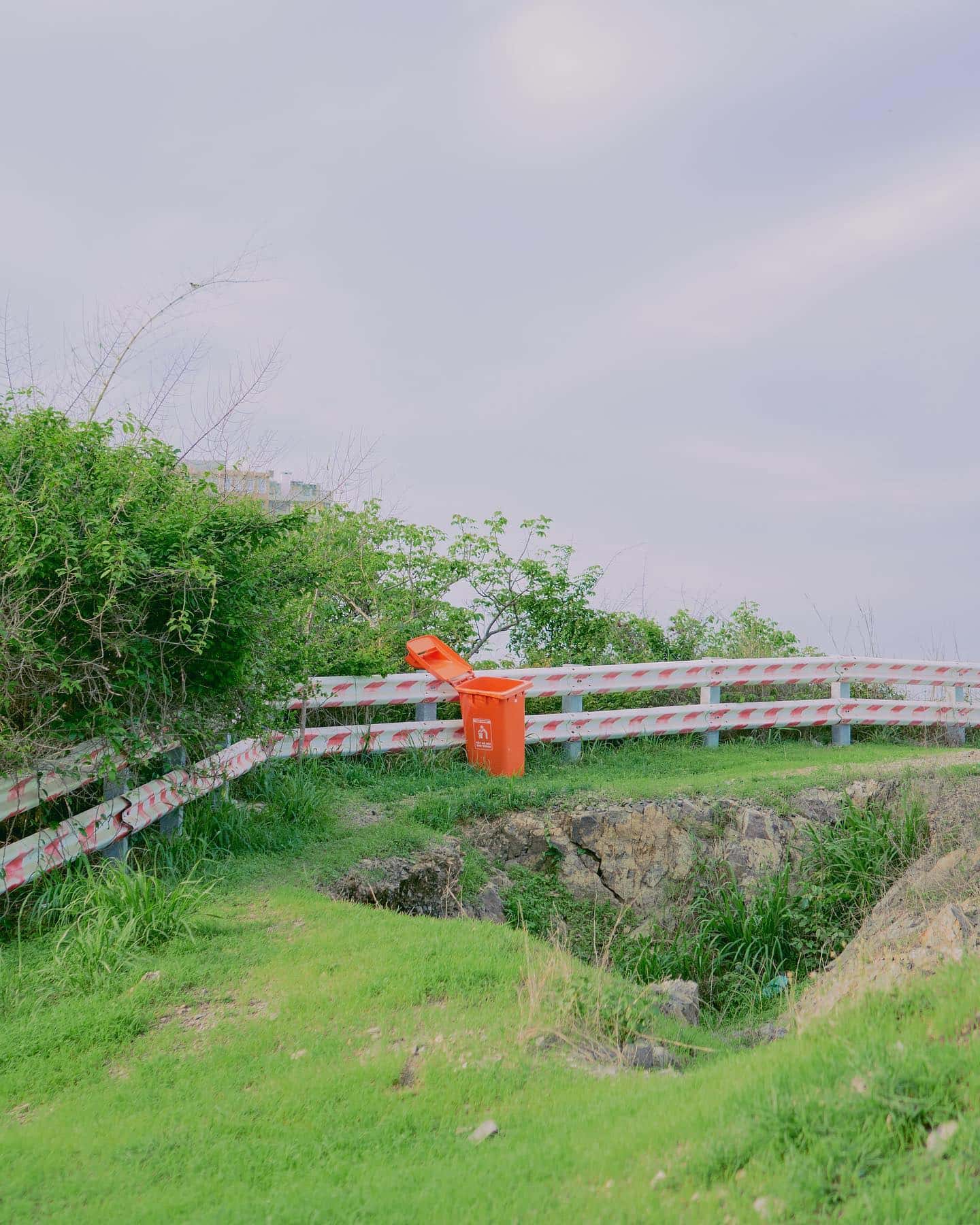 doi con heo vung tau