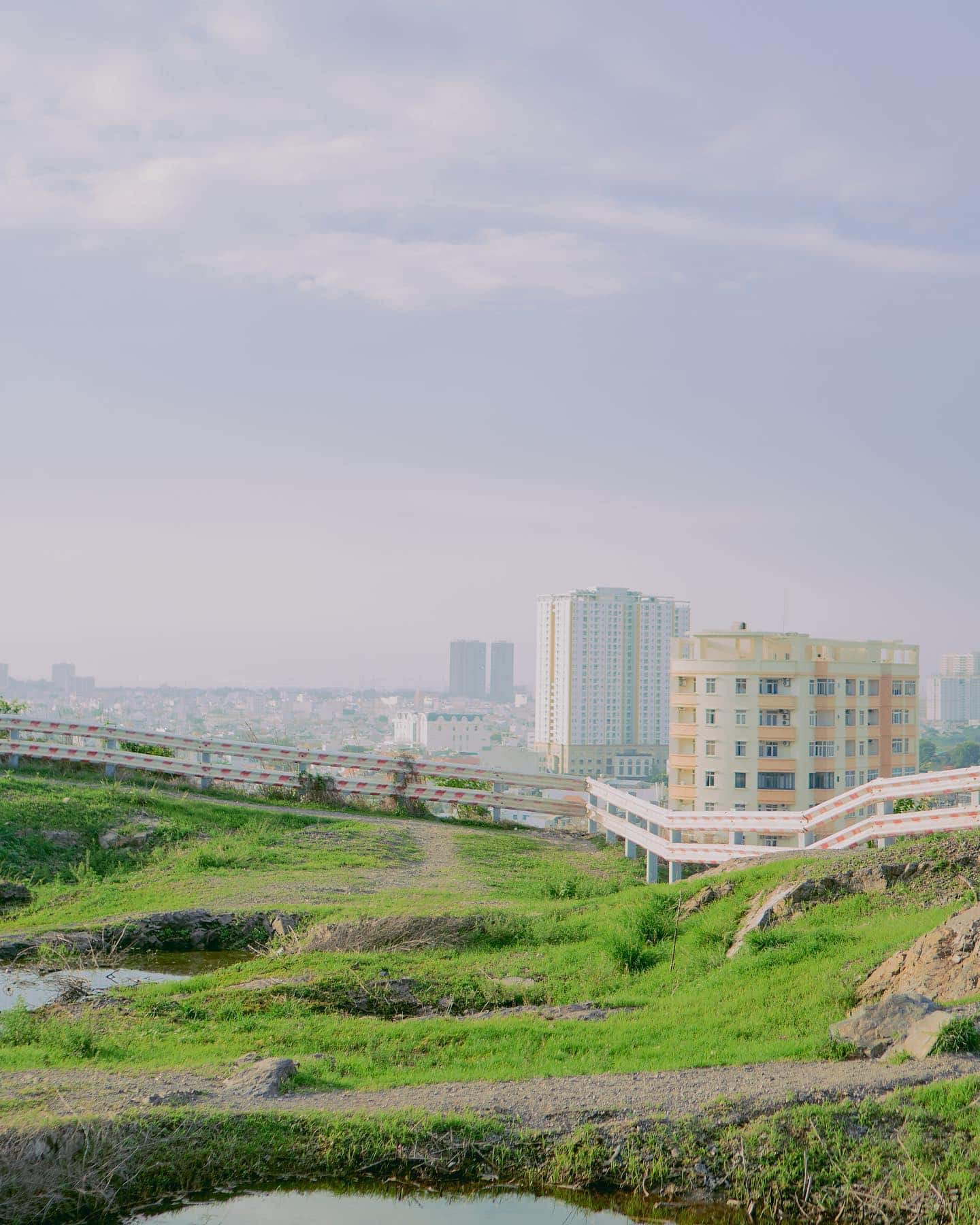 doi con heo vung tau