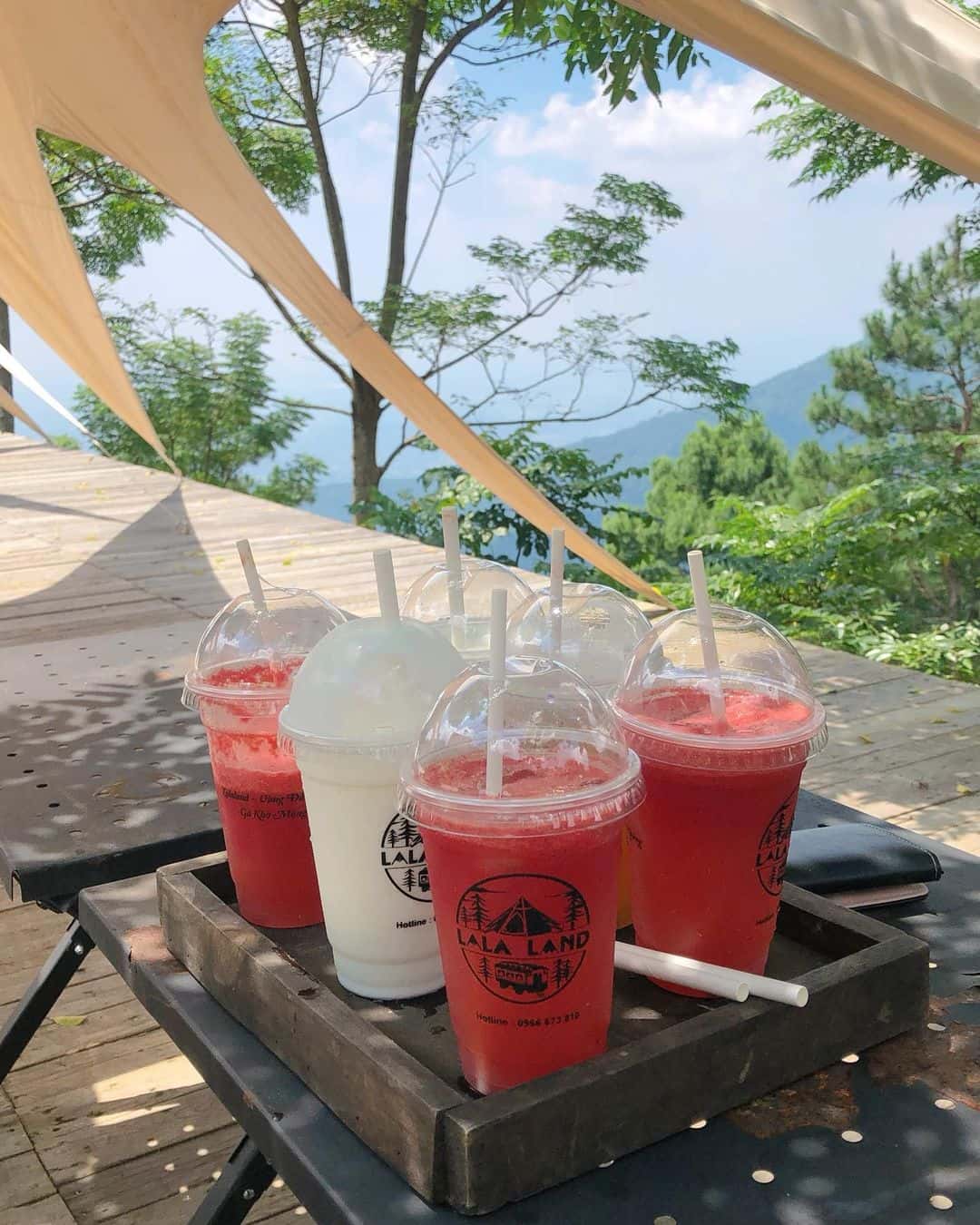 lala land tam dao vinh phuc
