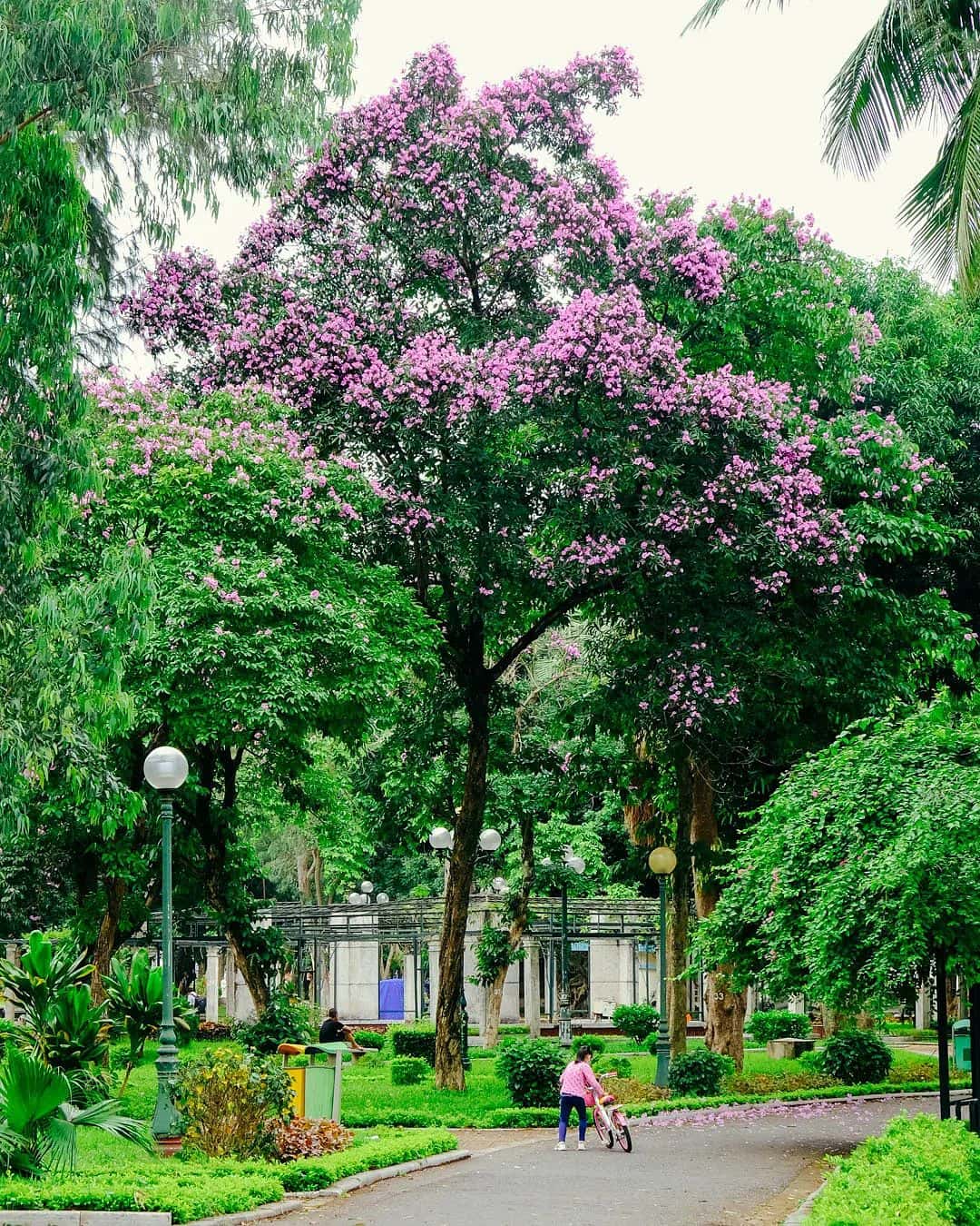 justfly cong vien thong nhat hanoi