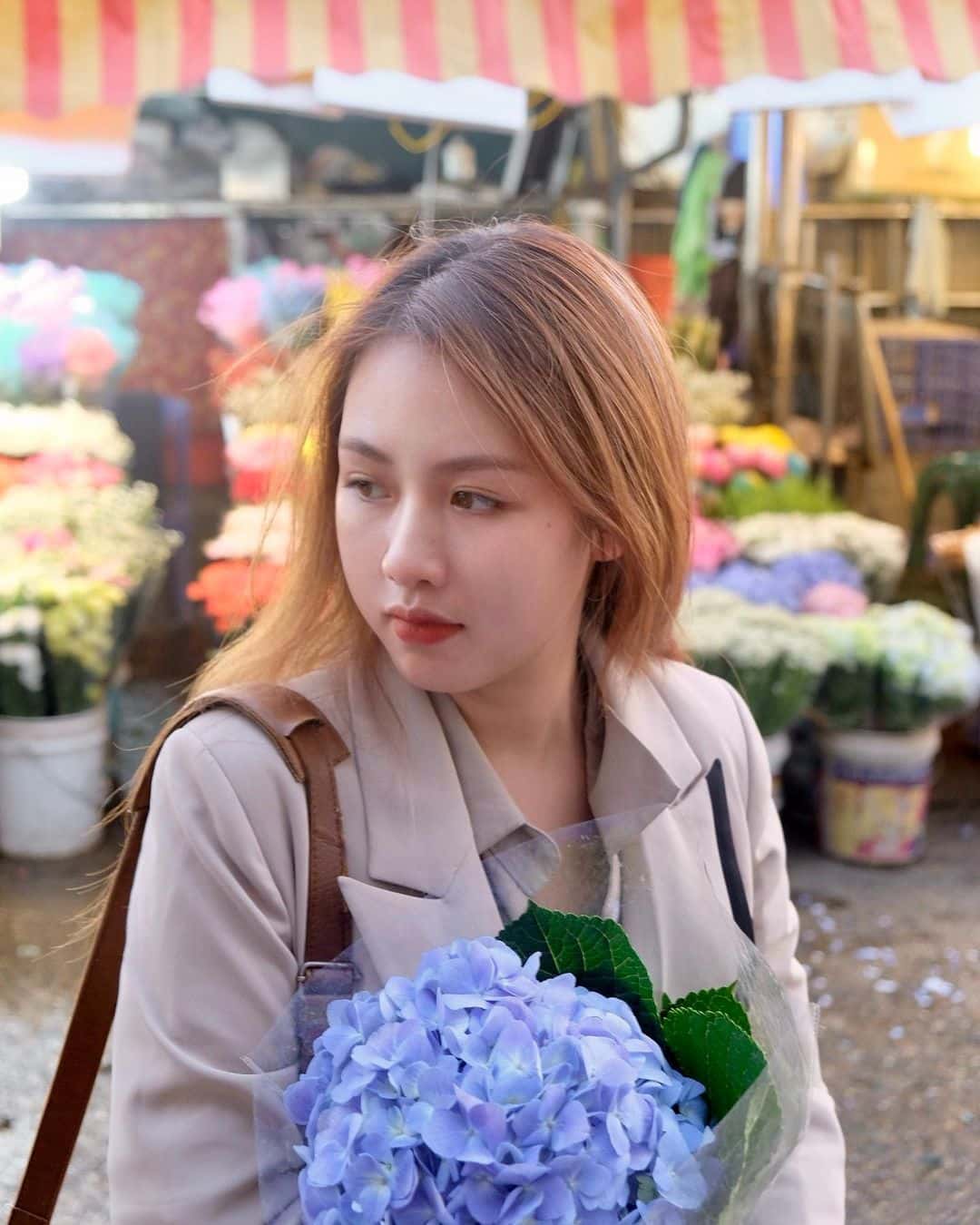 justfly cho hoa quang ba hanoi