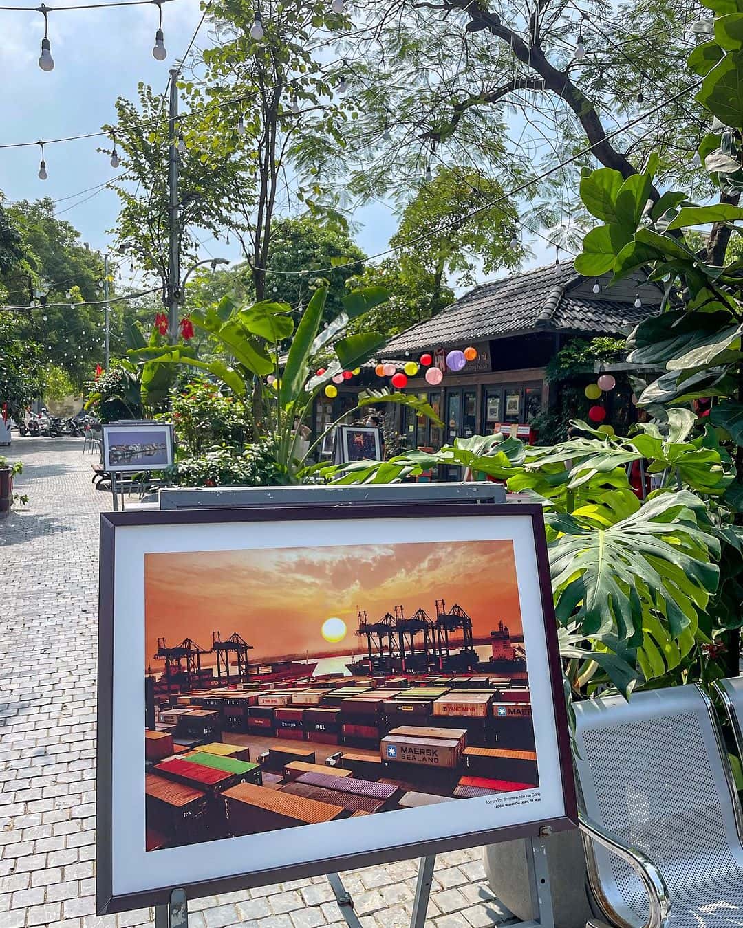 justfly pho sach 19.12 hanoi