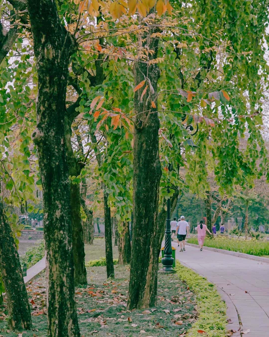 justfly cong vien nghia do hanoi