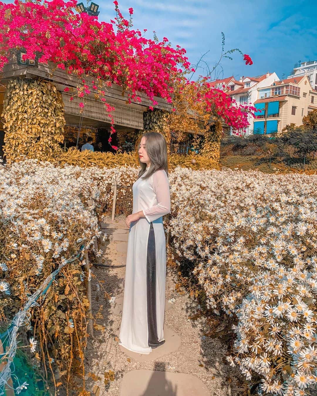 justfly thung lung hoa ho tay hanoi