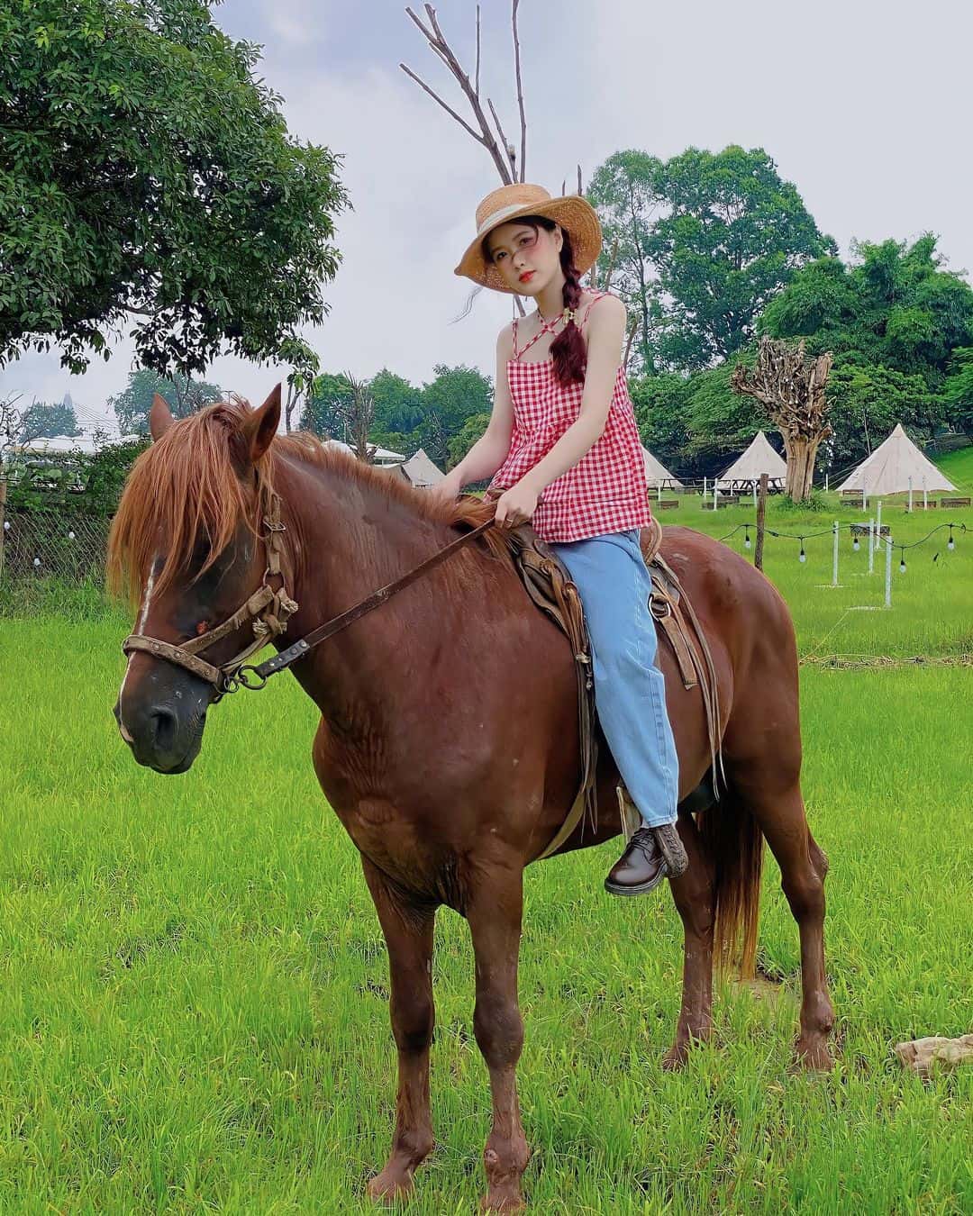 justfly bai da song hong hanoi