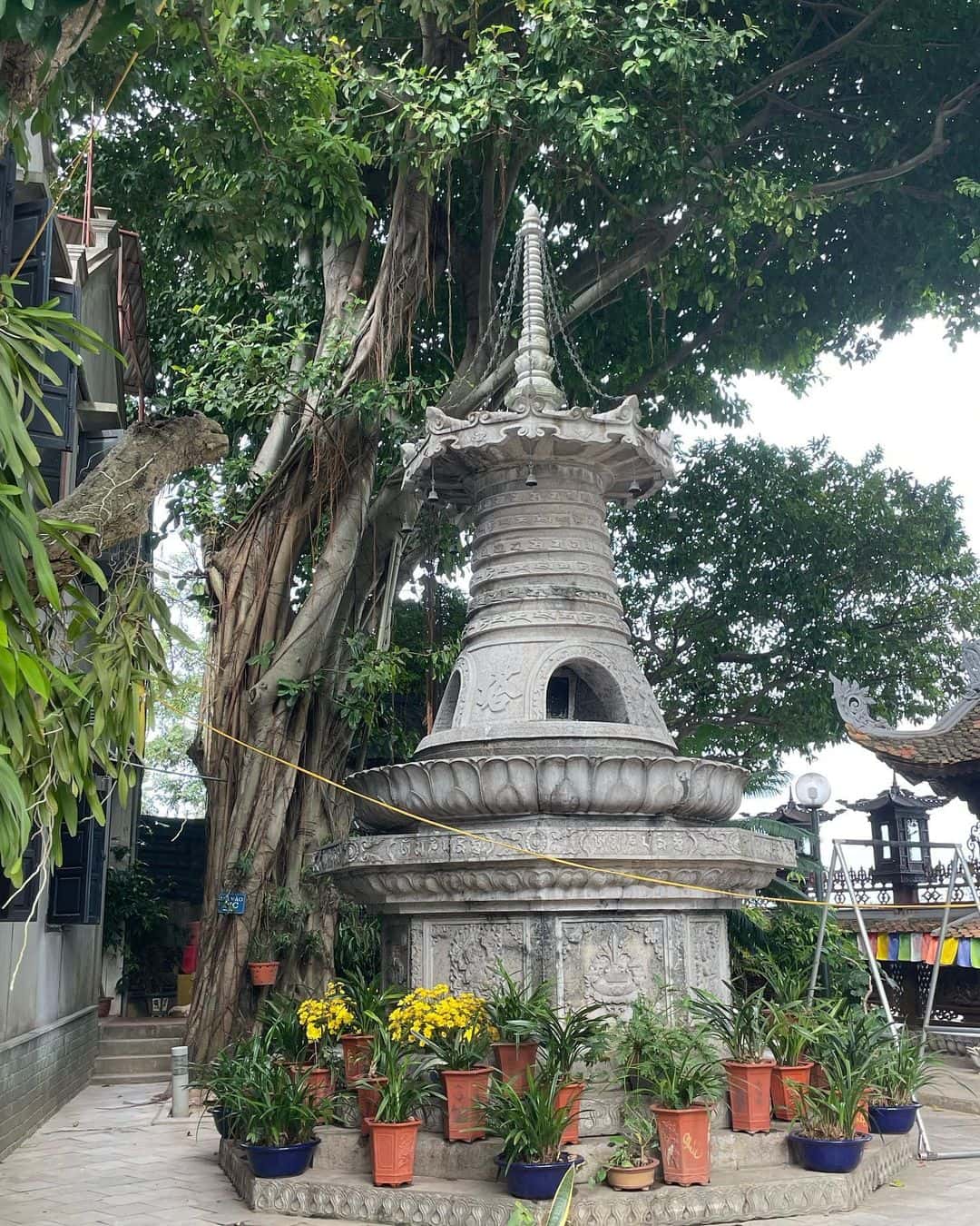 justfly chua van nien hanoi