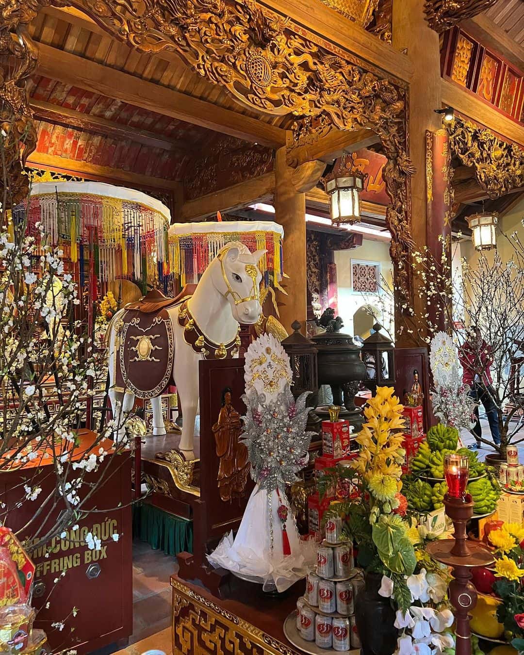 justfly den bach ma hanoi